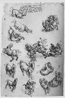 Sheet of Studies of Horses, a Cat and of St. George and the Dragon, c1480 (1945) Sheet of Studies of Horses, a Cat and of St. George and the Dragon, c1480 (1945)