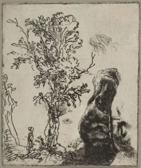 Sheet with Two Studies: A Tree and the Upper Part of a Head of Rembrandt Wearing a Vel