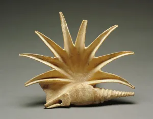 Seashell Prints: Shell, 400-325 BC. Creator: Unknown