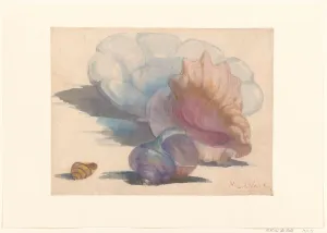 Assorted Prints: Three shells with a Delft folding dish, 1867-1935. Creator: Maurits Willem van der Valk