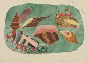 Mary Altha Nims American Prints: Shells in Seaweed. Creator: Mary Altha Nims (American, 1817-1907)