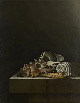 Assorted Prints: Shells on a Stone Plinth, 1698. Creator: Adriaen Coorte