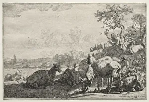 The Shepherd, 1644. Creator: Paulus Potter (Dutch, 1625-1654)