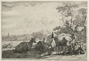 Paulus Potter Prints: The Shepherd, 1644. Creator: Paulus Potter (Dutch, 1625-1654)