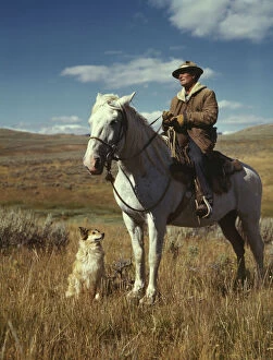 Shepherd with his horse and dog on Gravelly Range, Madison County, Montana, 1942. Creator: Russell Lee