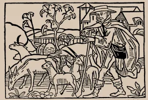 Medieval Art Gallery: Shepherd. From Speculum Vitae Humanae by Rodericus Zamorensis, 1479. Creator: Anonymous