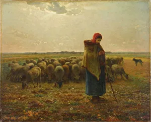 Peasant Girl Prints: Shepherdess with her Flock, ca 1863. Creator: Millet, Jean-François (1814-1875)