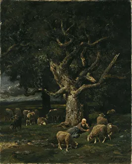 Jacque Charles Emile Prints: A Shepherdess and her Sheep. Creator: Charles Emile Jacque