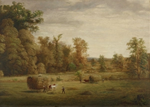 Sherman's Meadow, date unknown, c1830-1892. Creator: Jacob Cox