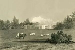 Sheep Collection: Shernfold Park, 1835. Creator: Charles J Smith
