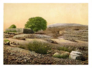 Shiloh, c1870. Artist: W Dickens