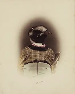 Vignette Prints: The Shimada Style, c1885. Creator: Unknown