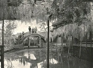Ornamental Pond Prints: The Shinji-No-Ike Pond and wisteria, Kameido, Tokyo, Japan, 1895. Creator: Unknown