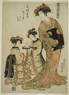 Models For Fashion Prints: Shirayu of the Wakanaya, from the series Models for Fashion: New Designs as