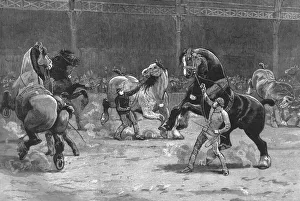 Shire Horse Gallery: The Shire Horse Show at the Agricultural Hall--The effect of applause, 1890. Creator: Unknown