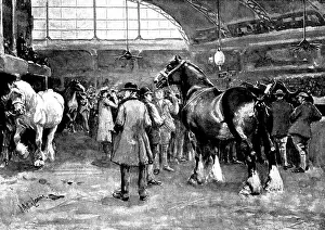 Competitive Prints: The Shire Horse Show at Islington: preparing for the parade
