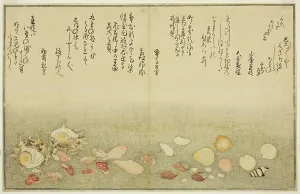 Double Page Prints: Shiro-gai, namima-gashiwa, makura-gai