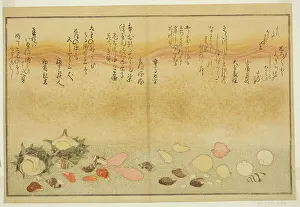 Double Page Prints: Shiro-gai, namima-gashiwa, makura-gai
