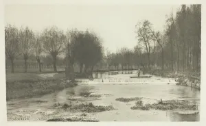 The Shoot, Amwell Magna Fishery, 1880s. Creator: Peter Henry Emerson The Shoot, Amwell Magna Fishery, 1880s. Creator: Peter Henry Emerson