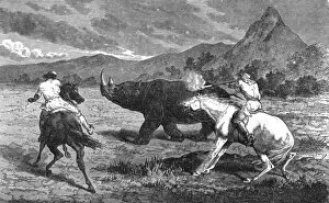 Images Dated 7th July 2022: Shooting Rhinoceros; Life in a South African Colony, 1875. Creator: Unknown