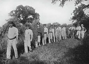 The shortage of farm labour: Soldiers assisting with the harvest, 1915 The shortage of farm labour: Soldiers assisting with the harvest, 1915