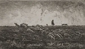 1817 1878 Prints: The Shower, c. 1851. Creator: Charles Francois Daubigny (French, 1817-1878)