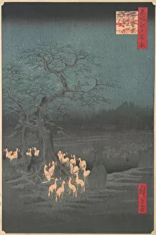 Shozokuenoki Tree at Oji: Fox-fires on New Year's Eve, 1857. 1857