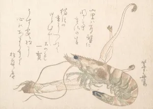 Shrimp and Udo Plant. Creator: Uematsu Toshu