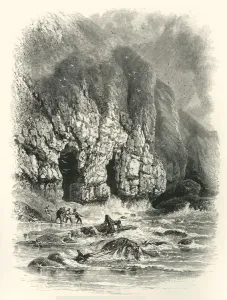 Petter Gallery: In Shrinkle Bay, South Wales, c1870