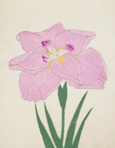 Clump Prints: Shu-Fu-Raku, No. 58, 1890, (colour woodblock print)