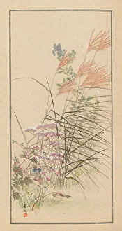 Shubi gakan (Drawing Methods for Aesthetic Pictures), 1889. Creator: Sakujiro, Nanbara (active 1889)