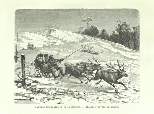 Sled Prints: Siberian Plateau Landscape - Reindeer Sleigh, 1889. Creator: Dumont
