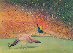 Ephemeral Prints: Sic Transit Gloria Mundi, c1920, (1928). Artist: William Giles