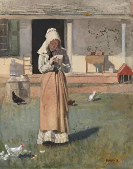 Images Dated 24th June 2021: A Sick Chicken, 1874. Creator: Winslow Homer
