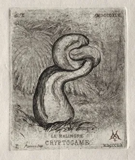Charles Meryon French Prints: The Sickly Cryptogam, 1860. Creator: Charles Meryon (French, 1821-1868)