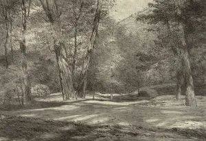 Stone Wall Prints: Sierra Woods, 1920s. Creator: Bolton Coit Brown