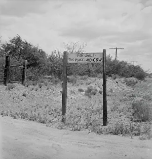 Sign Prints: Sign near Saint David, Arizona, 1937. Creator: Dorothea Lange