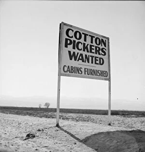 Cotton Plantation Gallery: Sign on U.S. 99 main highway between Los Angeles and San Francisco, Kern County, California, 1939