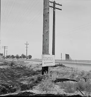 Potatoes Prints: Sign on USHighway 99 near Shafter, California, 1937. Creator: Dorothea Lange