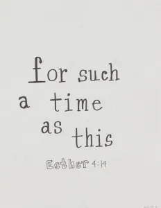 Esther Prints: Sign from Womens March on Washington with For such a time as this