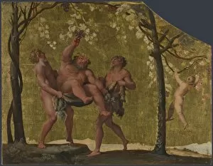 Roman Mythology Collection: Silenus gathering Grapes, c. 1598. Artist: Carracci, Annibale (1560-1609)