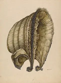 Connin Peter Prints: Silk Bonnet, 1935 / 1942. Creator: Peter Connin