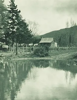 Wellington North Island New Zealand Prints: Silverstream ford, Wellington. From the album: Camera Pictures of New Zealand
