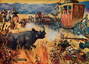 Empire Building Gallery: Simon van der Stel and the Rhinoceros, 1909. Artist: Joseph Ratcliffe Skelton