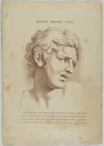 Emotion Prints: Simple Bodily Pain (from Heads Representing the Various Passions of the Soul; as they are)