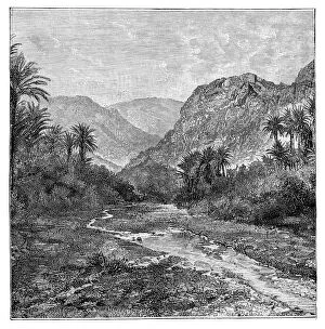 Images Dated 21st February 2008: Sinai, Egypt, 1895