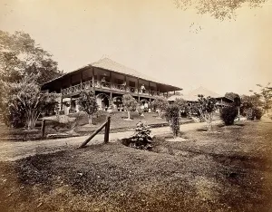 1880 Prints: Singapore: a large bungalow for British officers with tropical plants in the garden