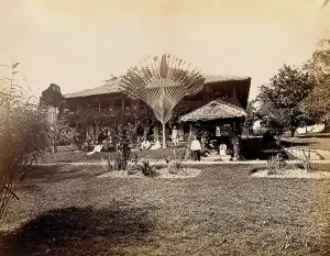Sloped Prints: Singapore: a large bungalow with people having drinks in the garden around a large