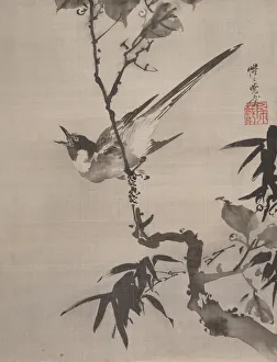 Kawanabe Kyosai Prints: Singing Bird on a Branch, ca. 1887. Creator: Kawanabe Kyosai