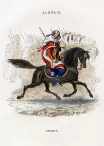 Images Dated 12th May 2007: Sipahi, 19th century
